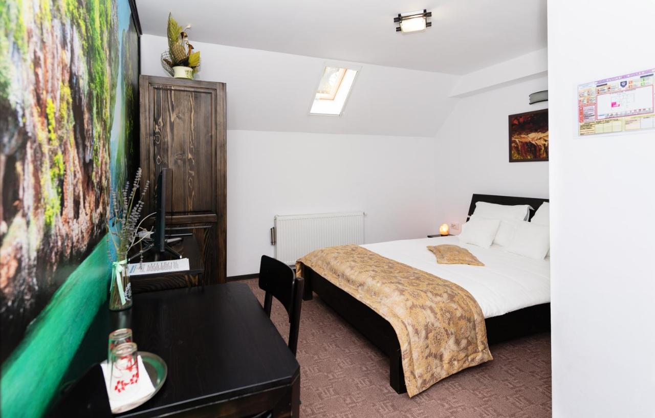 Stejarul Lui Andrei Hotel Izvoarele  Buitenkant foto
