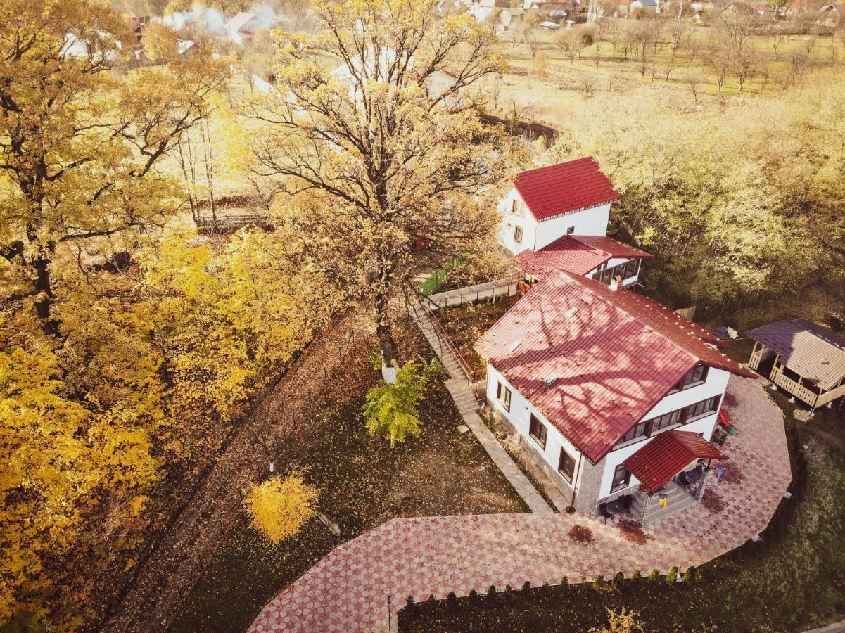 Stejarul Lui Andrei Hotel Izvoarele  Buitenkant foto