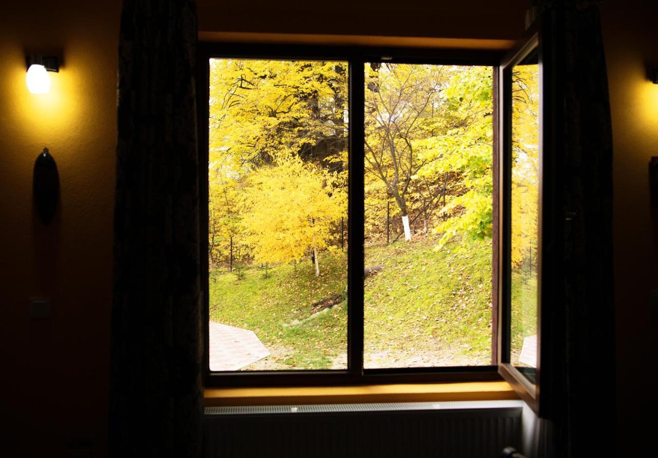 Stejarul Lui Andrei Hotel Izvoarele  Buitenkant foto