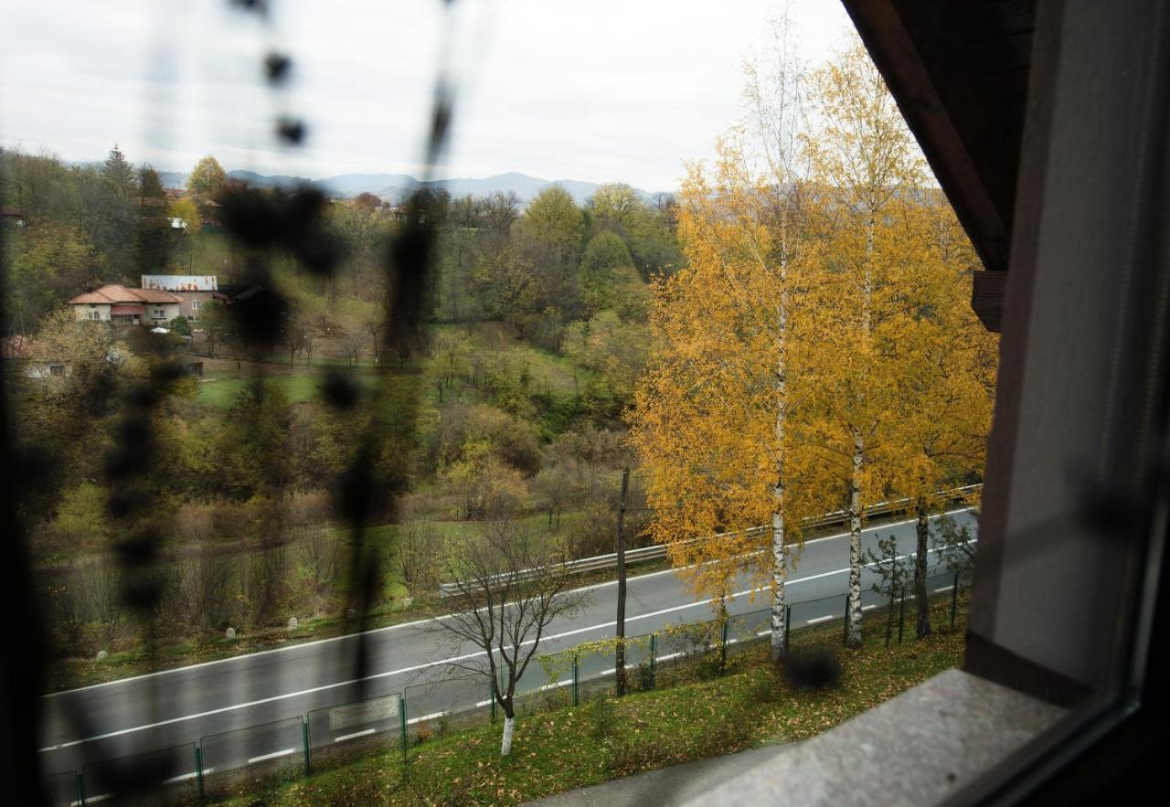 Stejarul Lui Andrei Hotel Izvoarele  Buitenkant foto