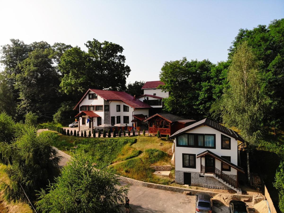 Stejarul Lui Andrei Hotel Izvoarele  Buitenkant foto