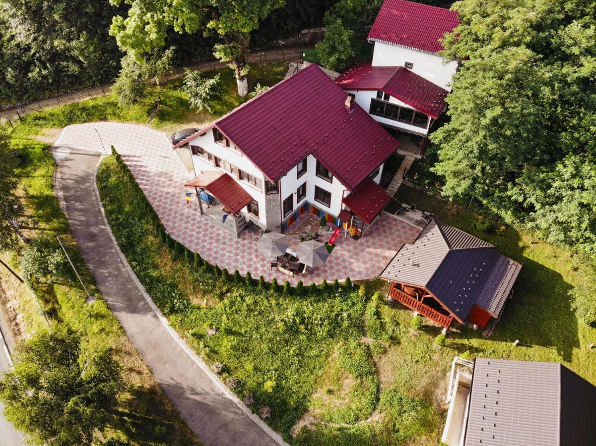 Stejarul Lui Andrei Hotel Izvoarele  Buitenkant foto