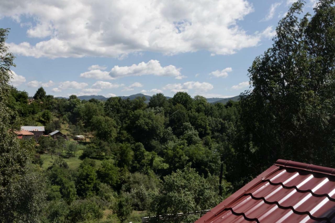 Stejarul Lui Andrei Hotel Izvoarele  Buitenkant foto